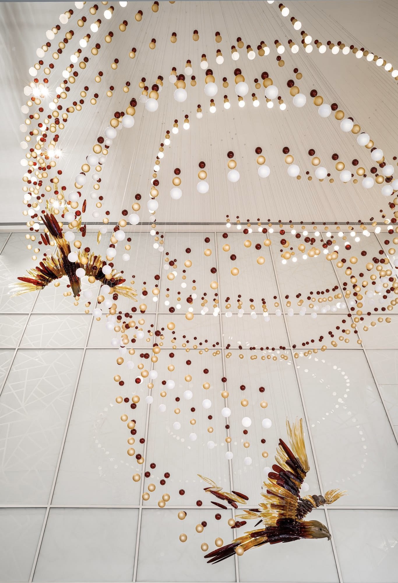 Maria Ignatiou — Falcons Flight, Abu Dhabi